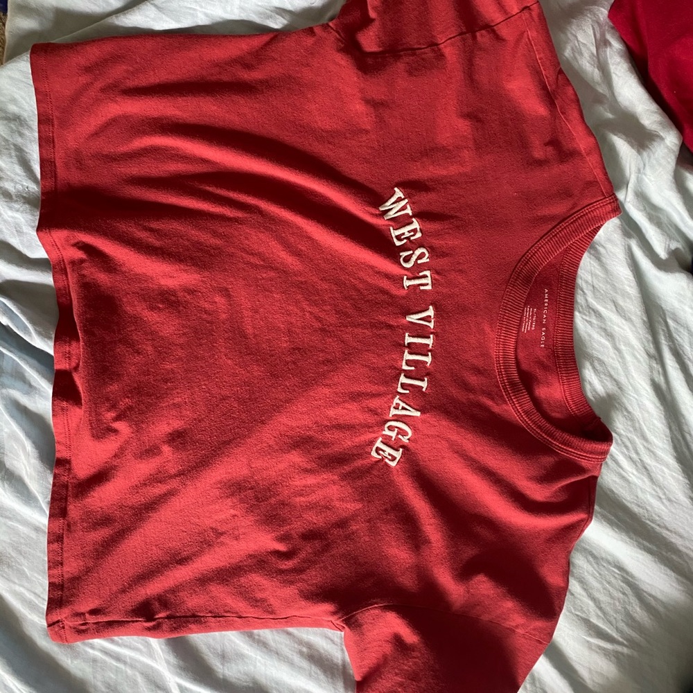 Cropped Embroidered Tee